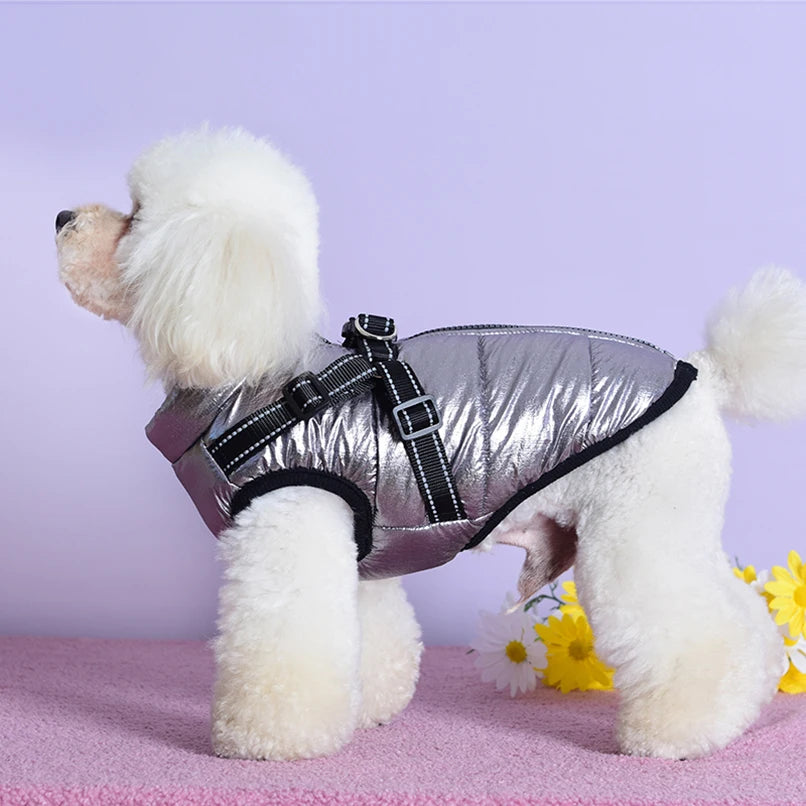 Winter Dog Coat Jacket