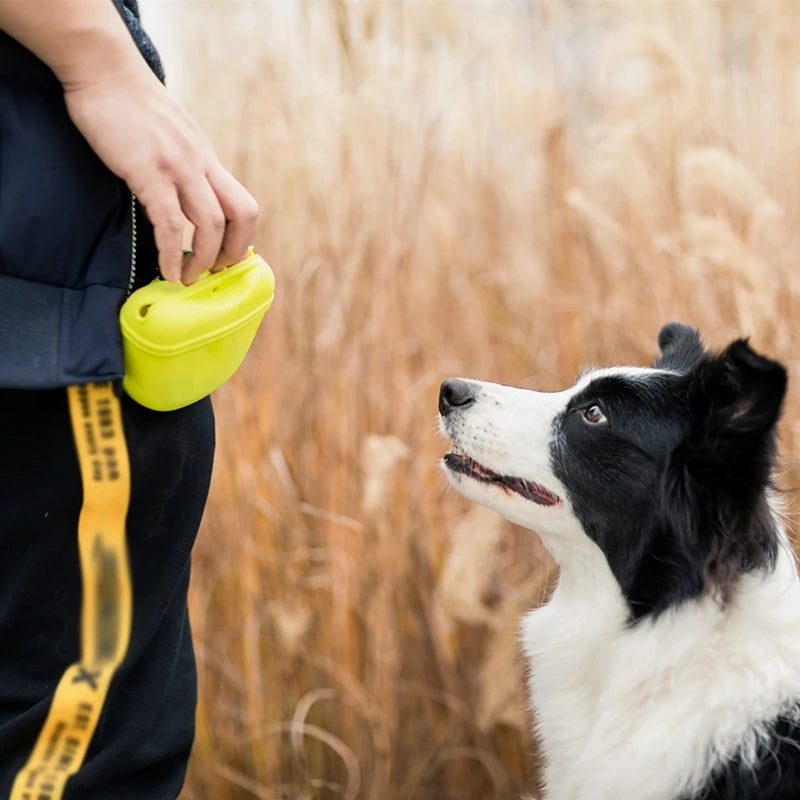 Pet Portable Dog Training Waist Bag