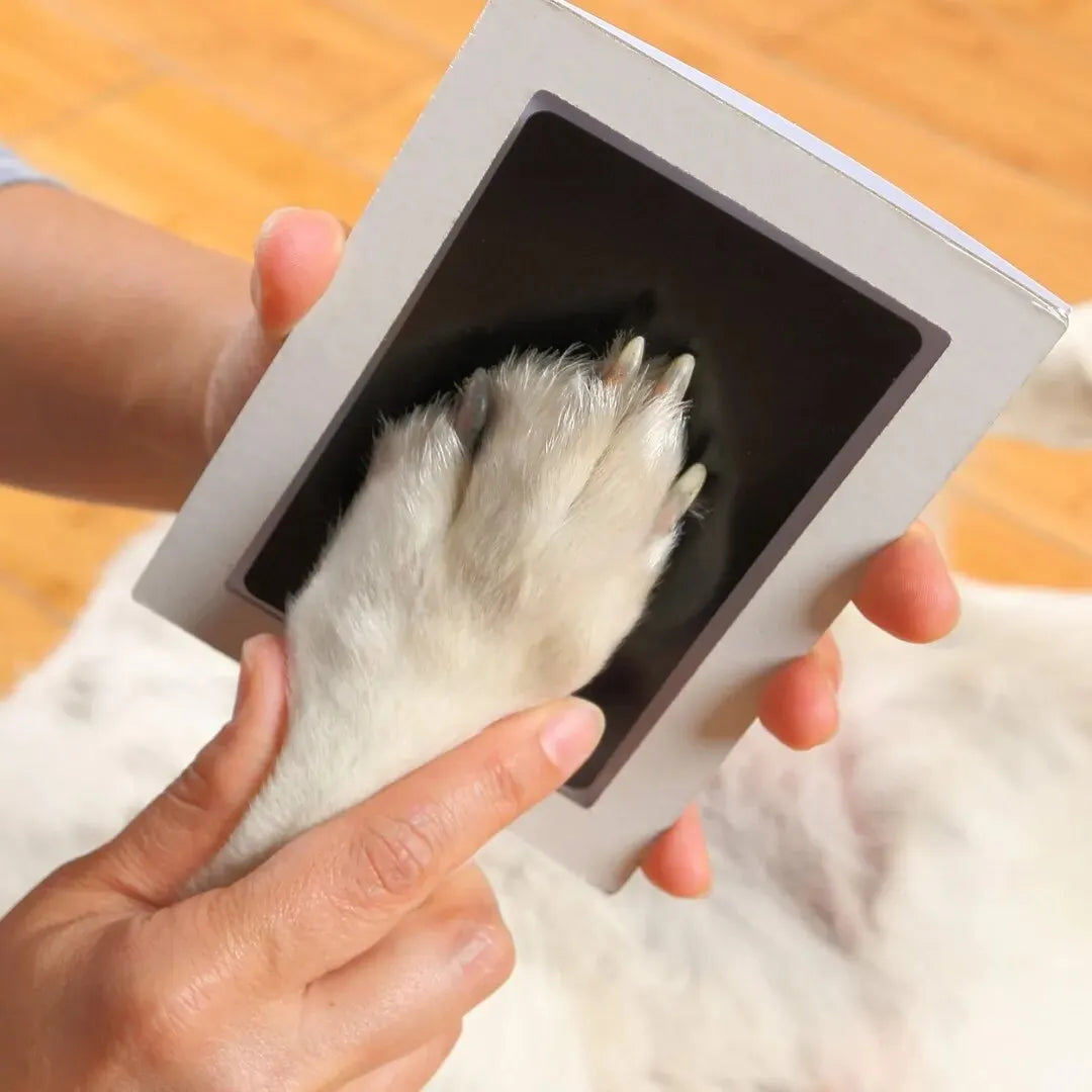 Paw Print Clean Touch Ink Pad