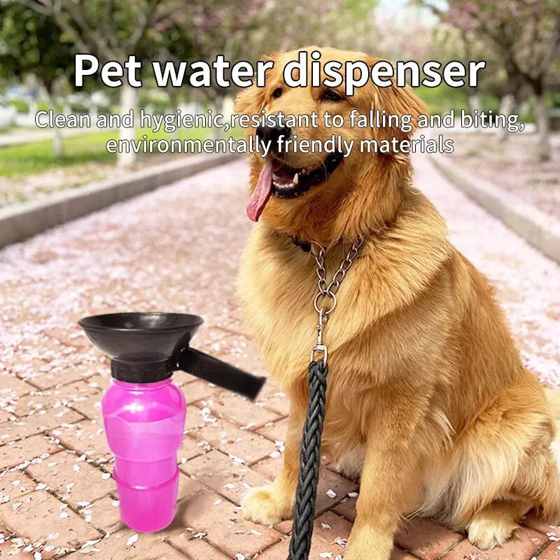 Dog Water Bottle Out Walking