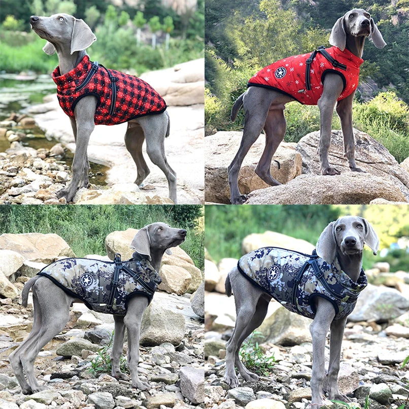 Winter Dog Coat Jacket