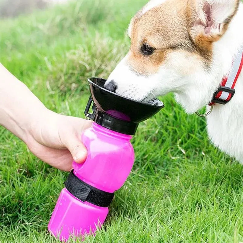 Dog Water Bottle Out Walking